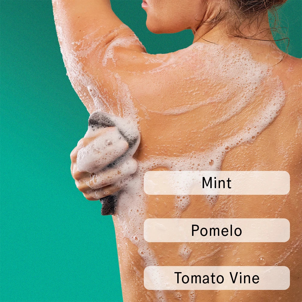 The Body Wash Concentrate - HALCYON SUMMERS