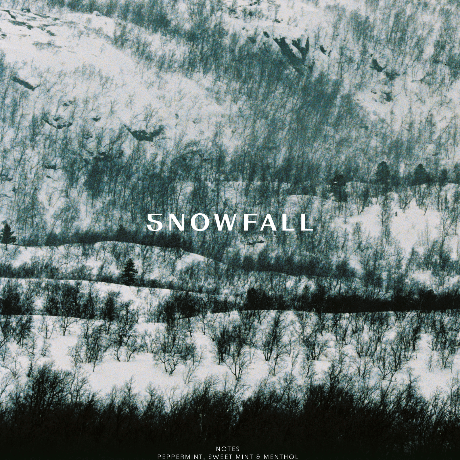Snowfall Whitening Toothpaste - TYPEYOURSKIN - SELAHATIN - TYPEYOURSKIN