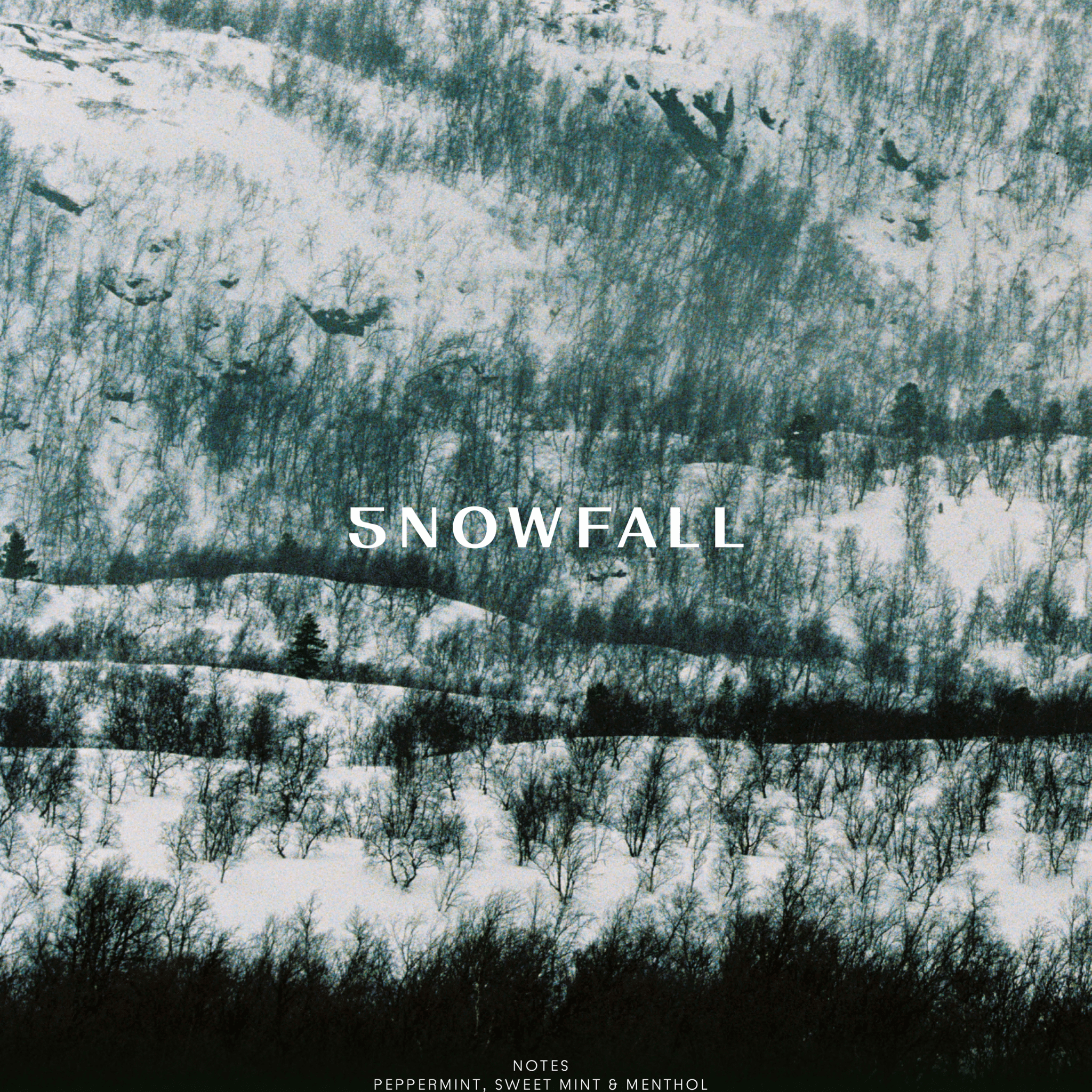 Snowfall Whitening Toothpaste - TYPEYOURSKIN - SELAHATIN - TYPEYOURSKIN