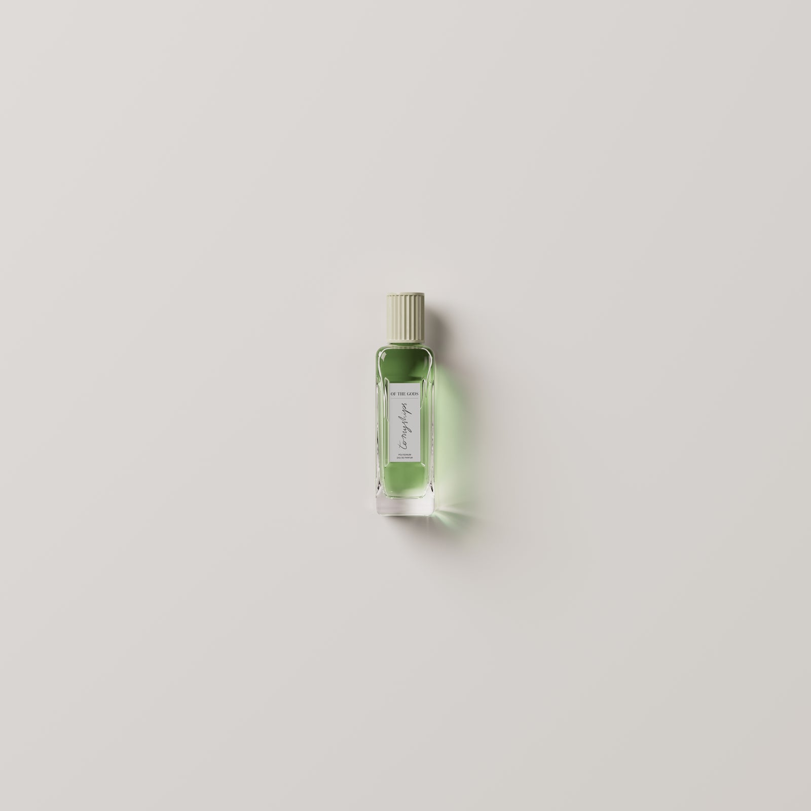 To My Ships Of The Gods Polygonum eau de parfum bottle on a clean neutral background
