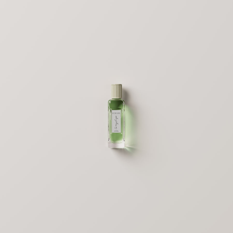 To My Ships Of The Gods Polygonum eau de parfum bottle on a clean neutral background