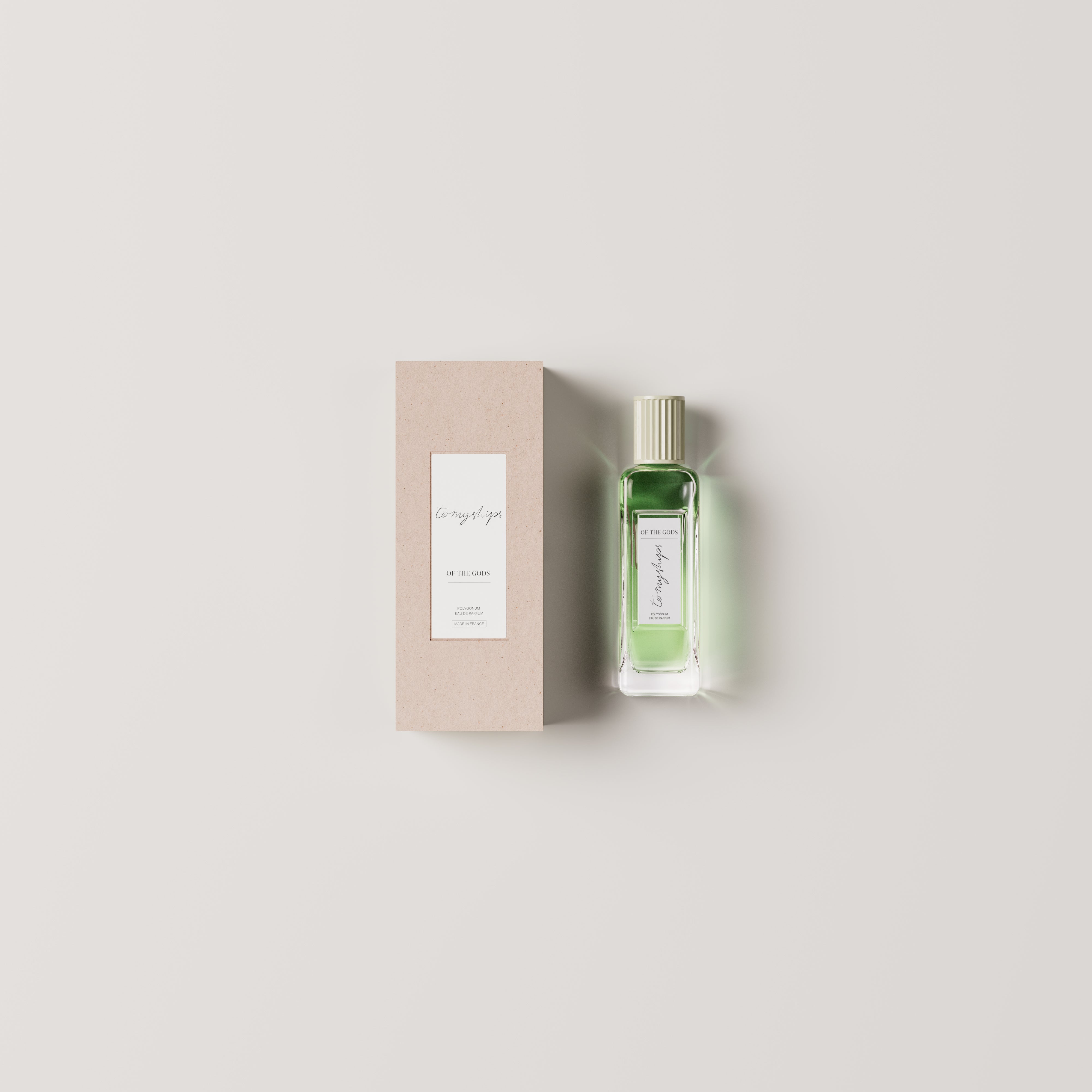 To My Ships Of The Gods Polygonum eau de parfum bottle with outer box on a clean neutral background